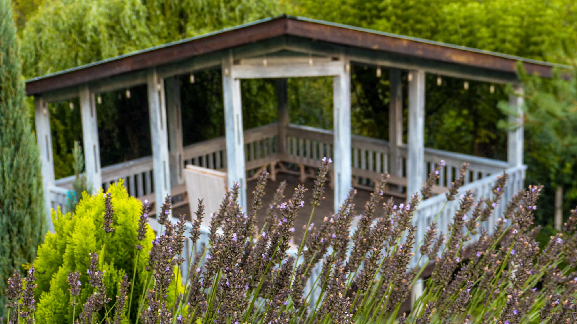 Красота из руин. Как Сергей Горбань превратил свалку в сад прямо в центре города