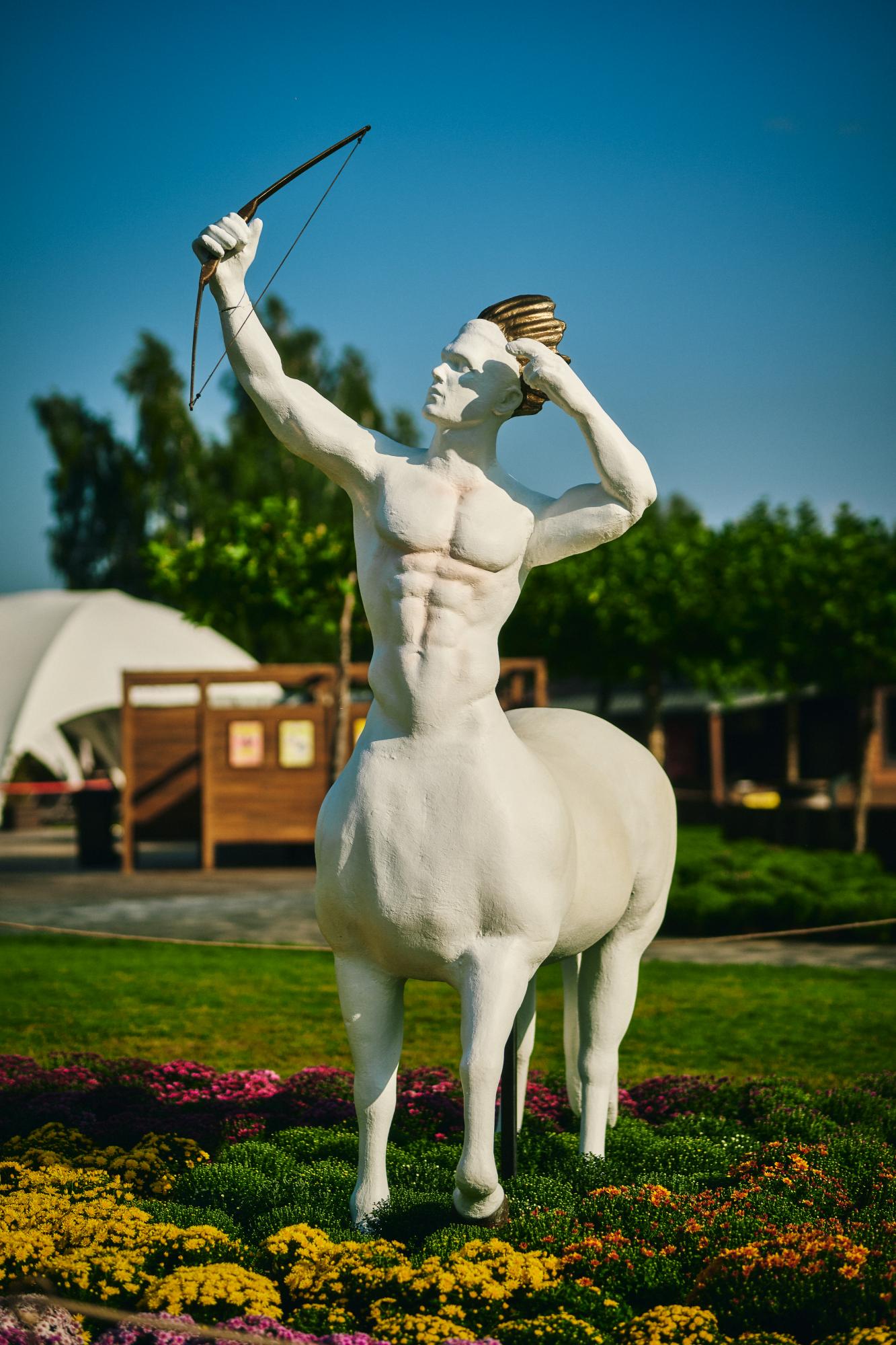 Под Киевом открылась фантастическая выставка цветов: как туда попасть с семьей