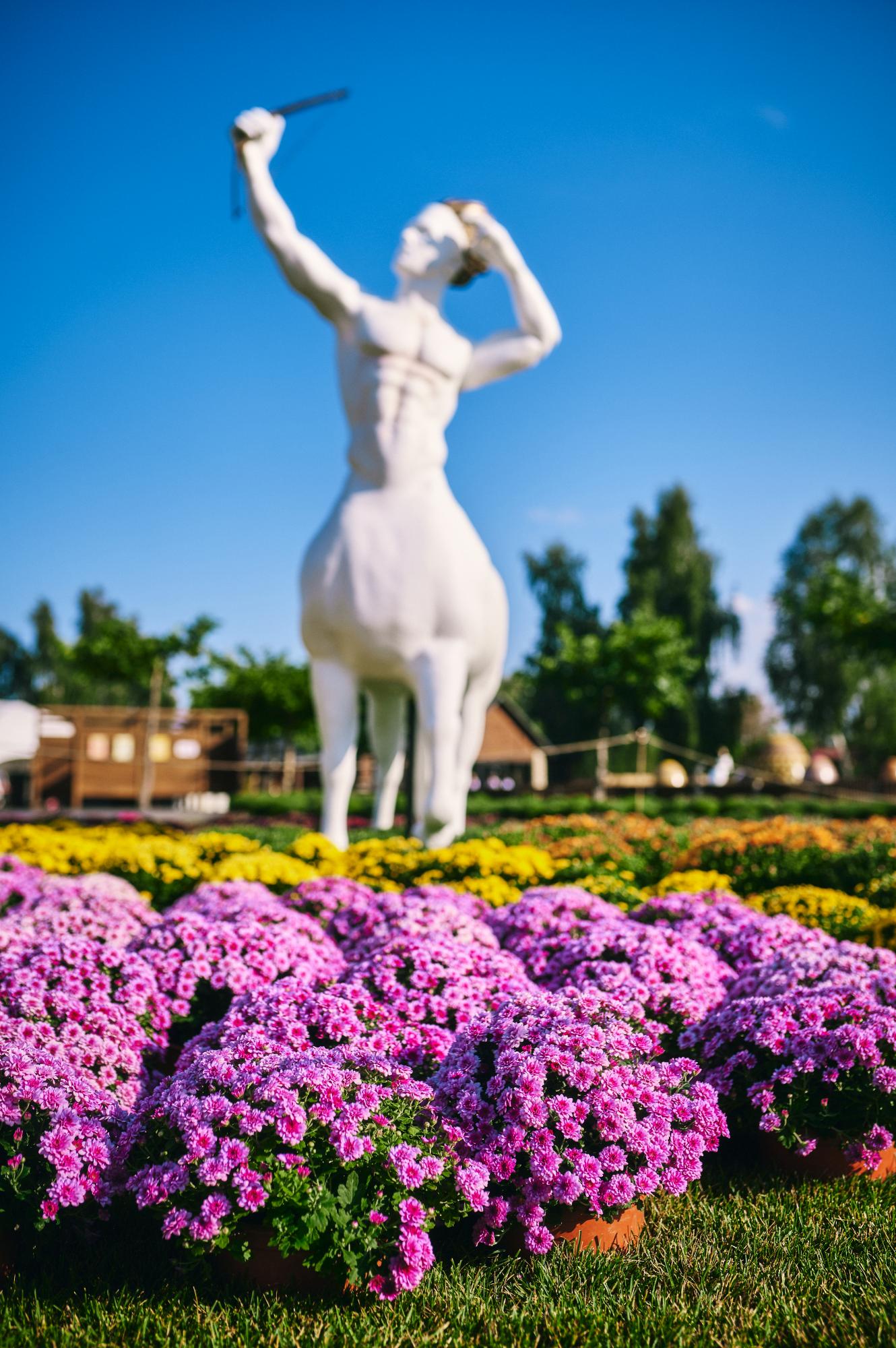 Под Киевом открылась фантастическая выставка цветов: как туда попасть с семьей