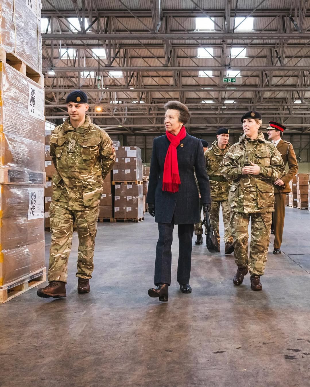 Принцеса Анна перевірила, як британські військові допомагають ЗСУ (фото)