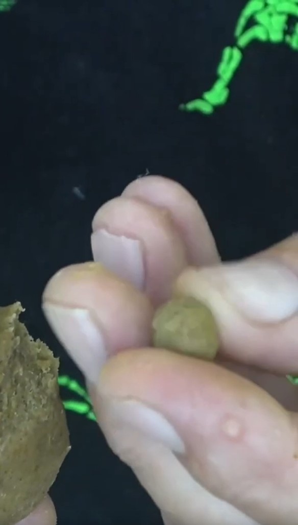 Дедовская наживка, с которой все караси и карпы будут ваши (рецепт)