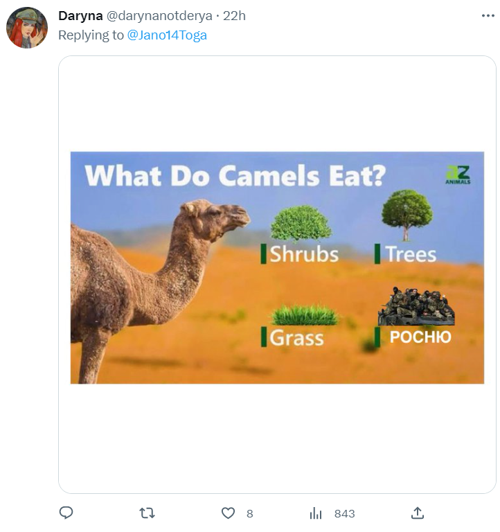 Верблюд, отомстивший агрессивному россиянину, уже стал легендой: смотрите лучшие мемы с ним