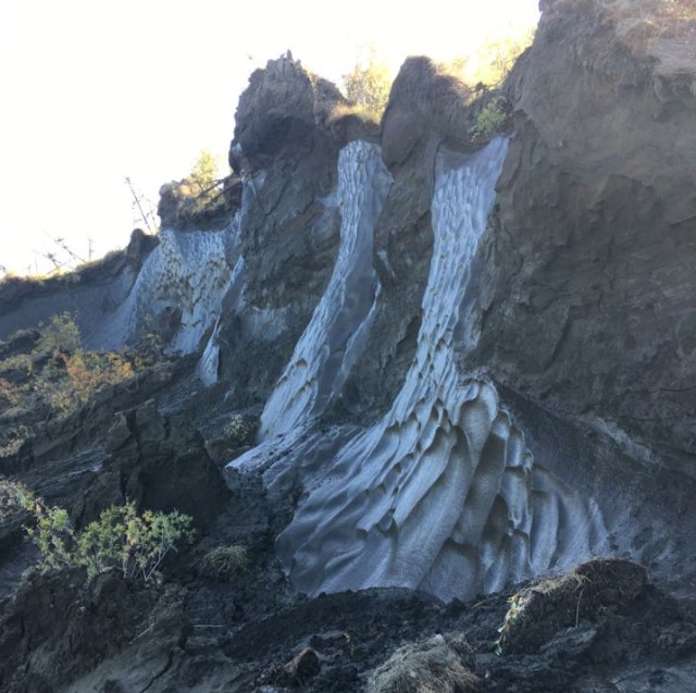 Ученые оживили вирус "зомби" из вечной мерзлоты. Ему почти 50 тысяч лет!