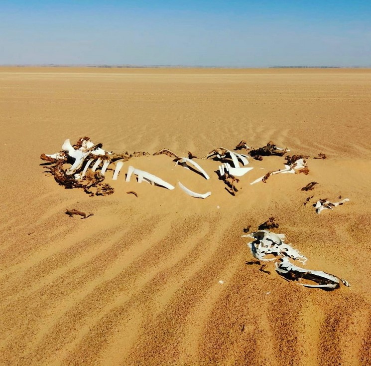 Ненужные земли. Какая территория не принадлежит ни одной стране