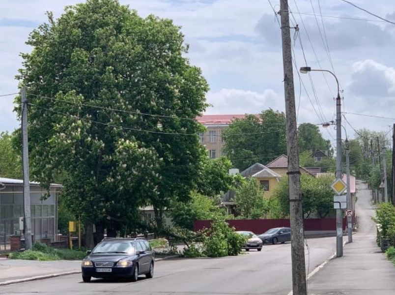 Потужний "німецький" буревій розбушувався під Рівним: відео і фото стихії