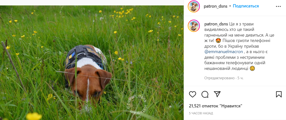 Капитулировал несколько раз: сеть взорвалась мемами о визите Шольца, Макрона и Драги в Киев