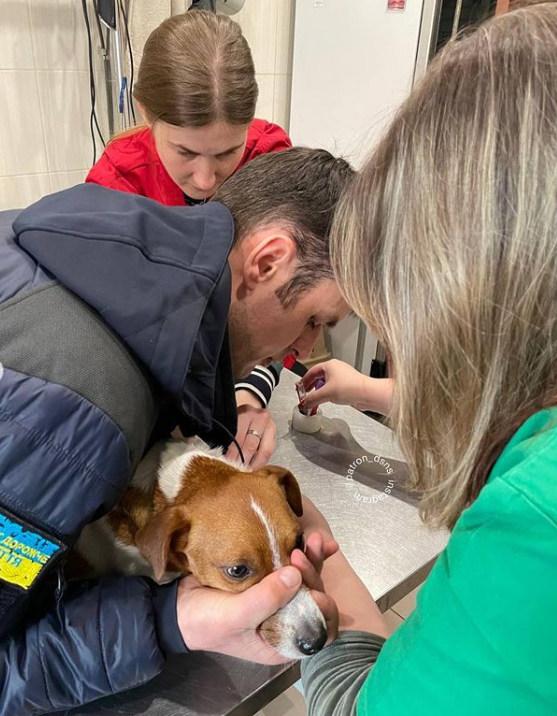 Пес Патрон потрапив до клініки: що сталося