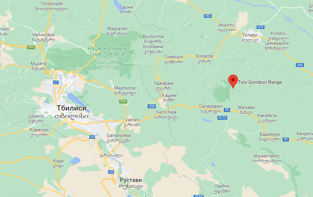 У Грузії суд виправдав таксиста, який епічно провчив російських туристів