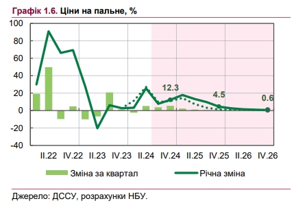 На сколько вырастут цены на топливо после повышения акцизов: оценка НБУ