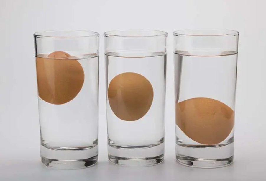 Проверяем свежесть яиц за 1 секунду: "бабушкин" метод