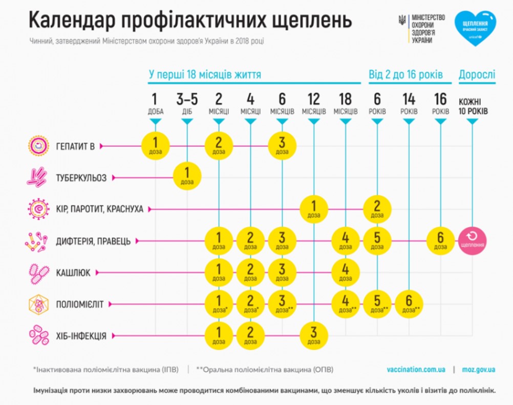 Гемофильная инфекция вакцинация схема