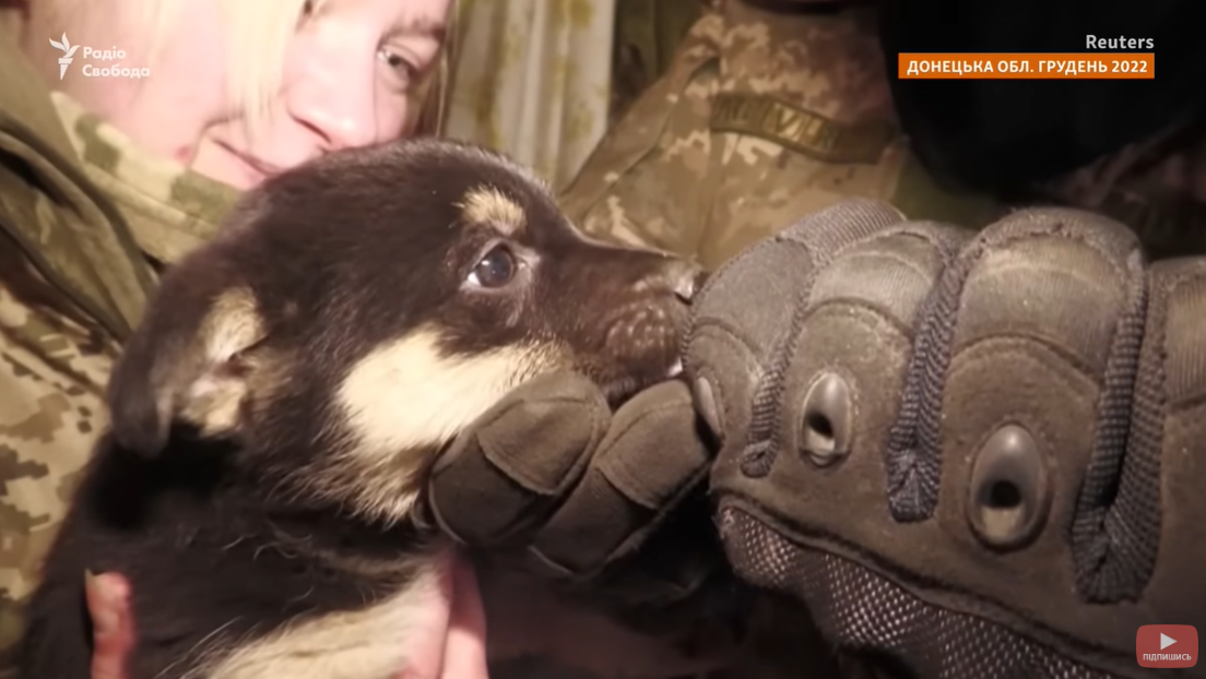 Екс-депутатка зі Швеції вирушила захищати Україну, змінивши костюм на піксель (відео)