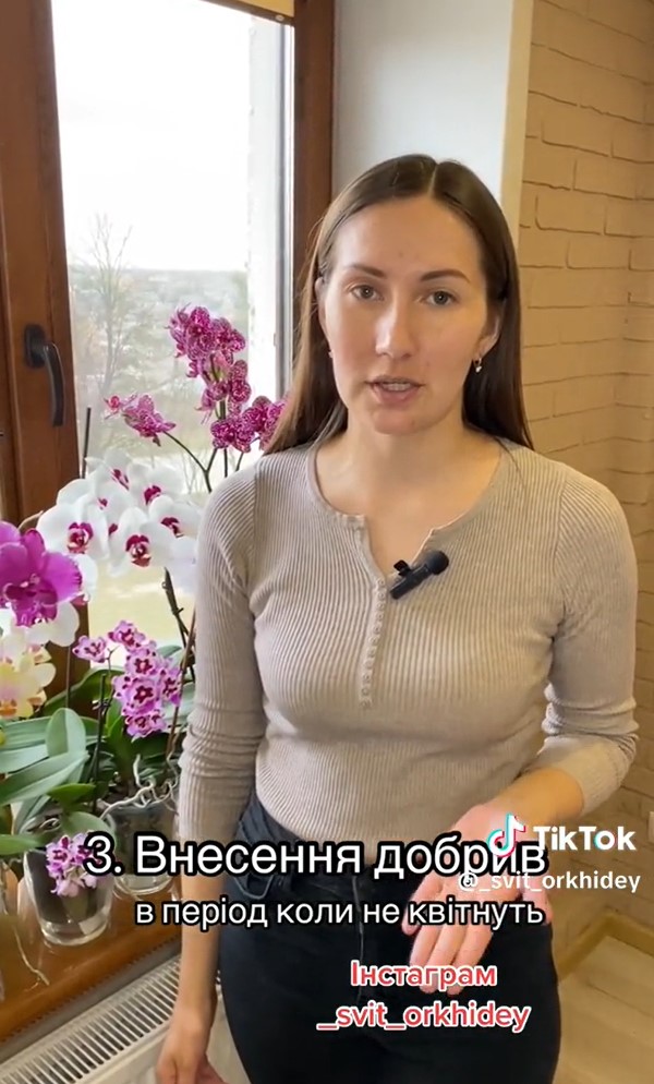 4 простих правила, з якими ваші орхідеї будуть часто і гарно квітнути