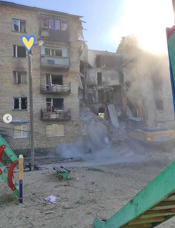 Возле Бучи из-под завалов дома спасли кота редкой породы: Бигги выжил чудом (фото)