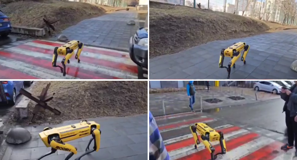 В Киеве заметили робота-пса Spot: разгуливал по улице, разминался в сквере (видео)