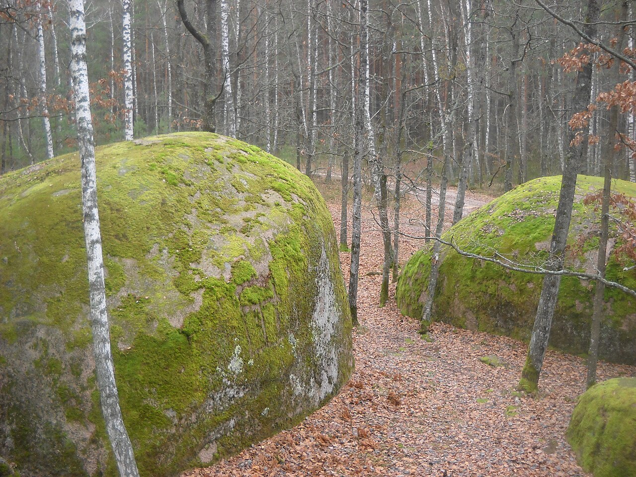Каминное село