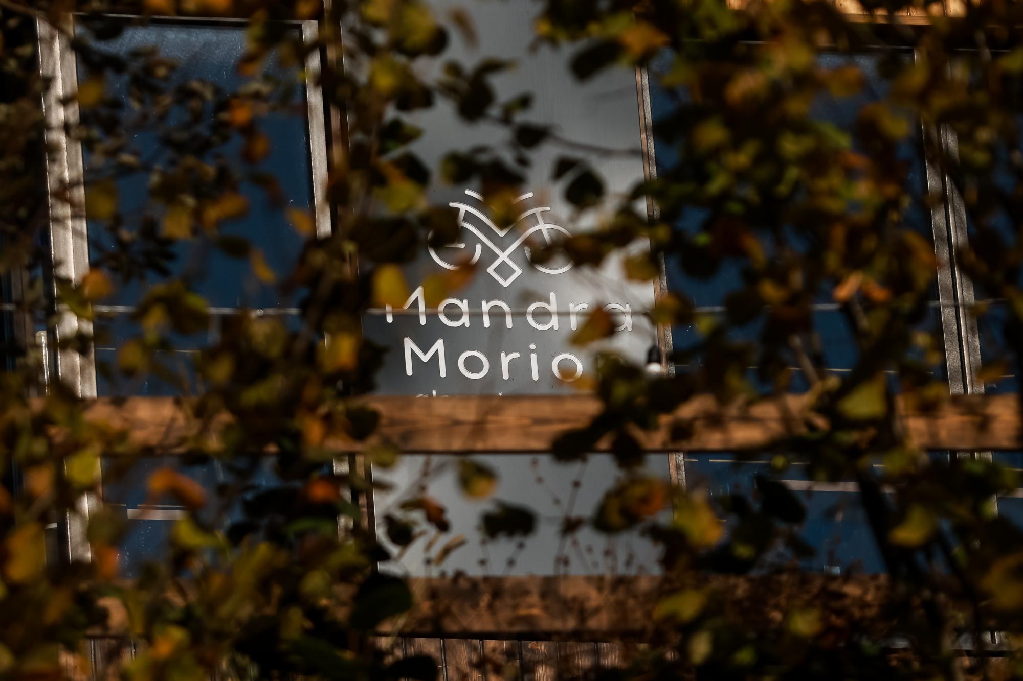 Красота гор и комфорт: где отдохнуть и что посмотреть в Микуличине