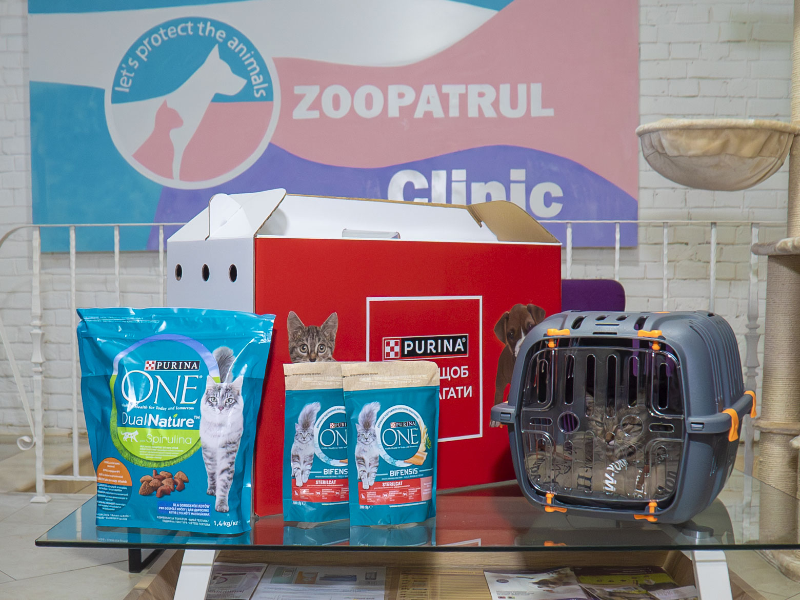 Поруч, щоб допомагати: Purina® та Зоопатруль об’єдналися для порятунку тварин