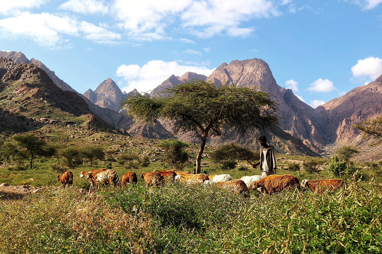 Ненужные земли. Какая территория не принадлежит ни одной стране