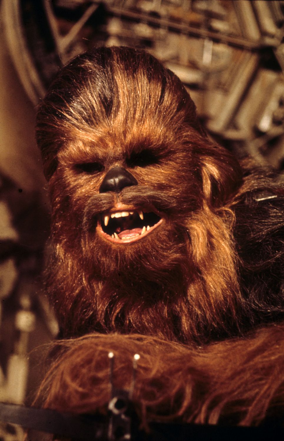 Як склалось життя головних акторів космічної саги "Зоряні війни" (фото)