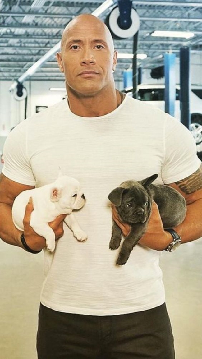 Брутальные голливудские актеры, которые тают рядом со своими французскими бульдогами