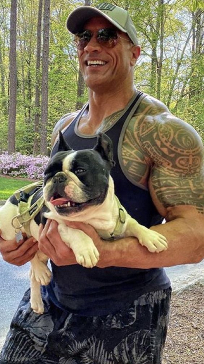 Брутальные голливудские актеры, которые тают рядом со своими французскими бульдогами