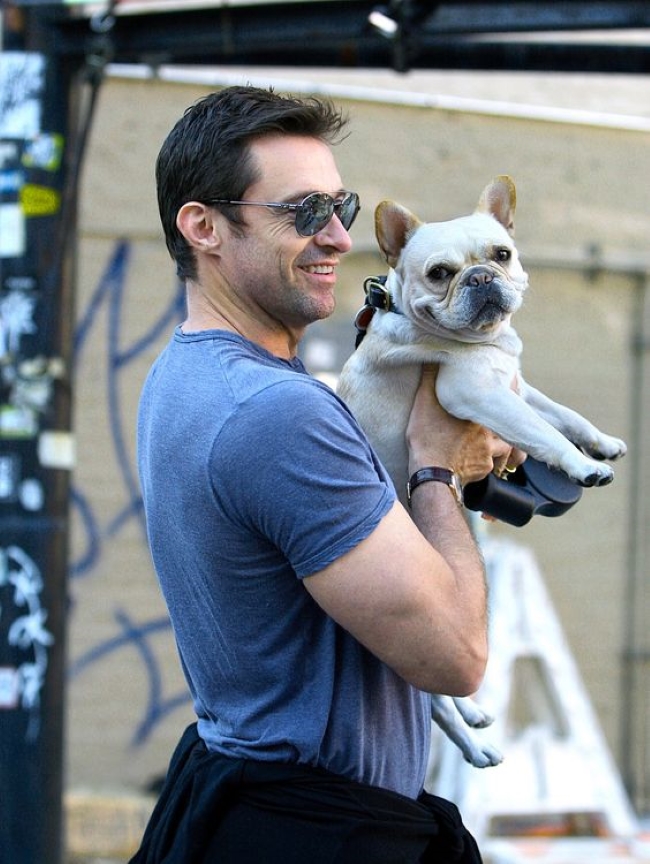 Брутальные голливудские актеры, которые тают рядом со своими французскими бульдогами