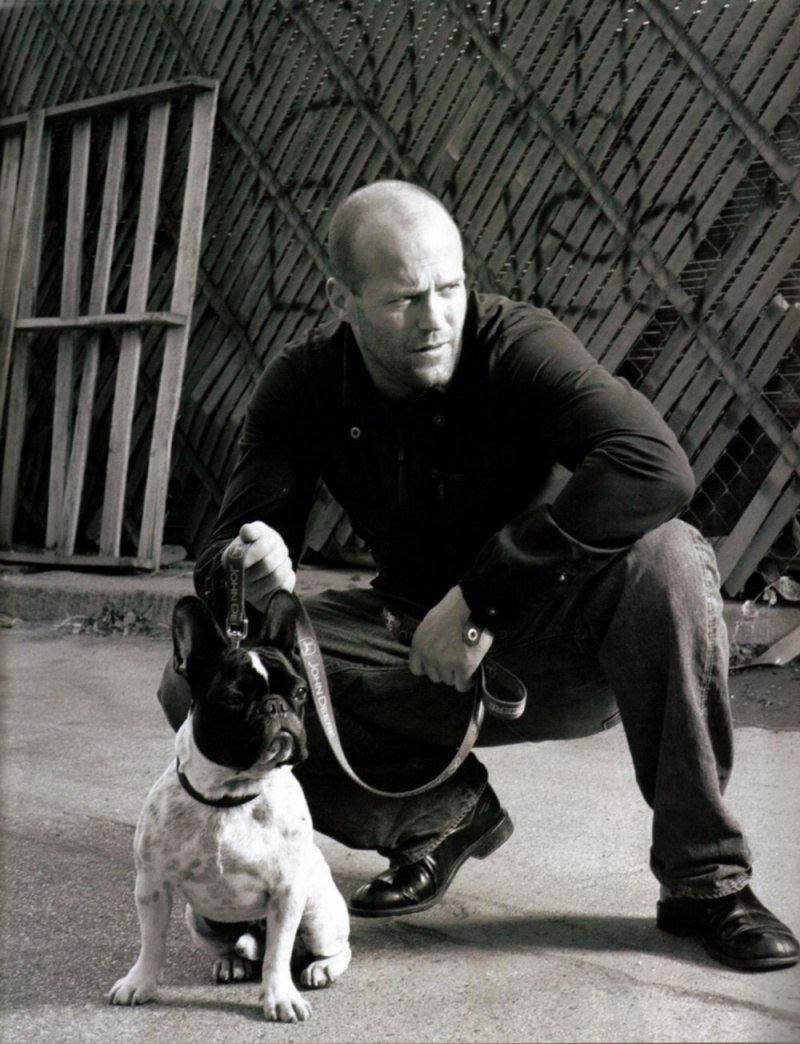 Брутальные голливудские актеры, которые тают рядом со своими французскими бульдогами