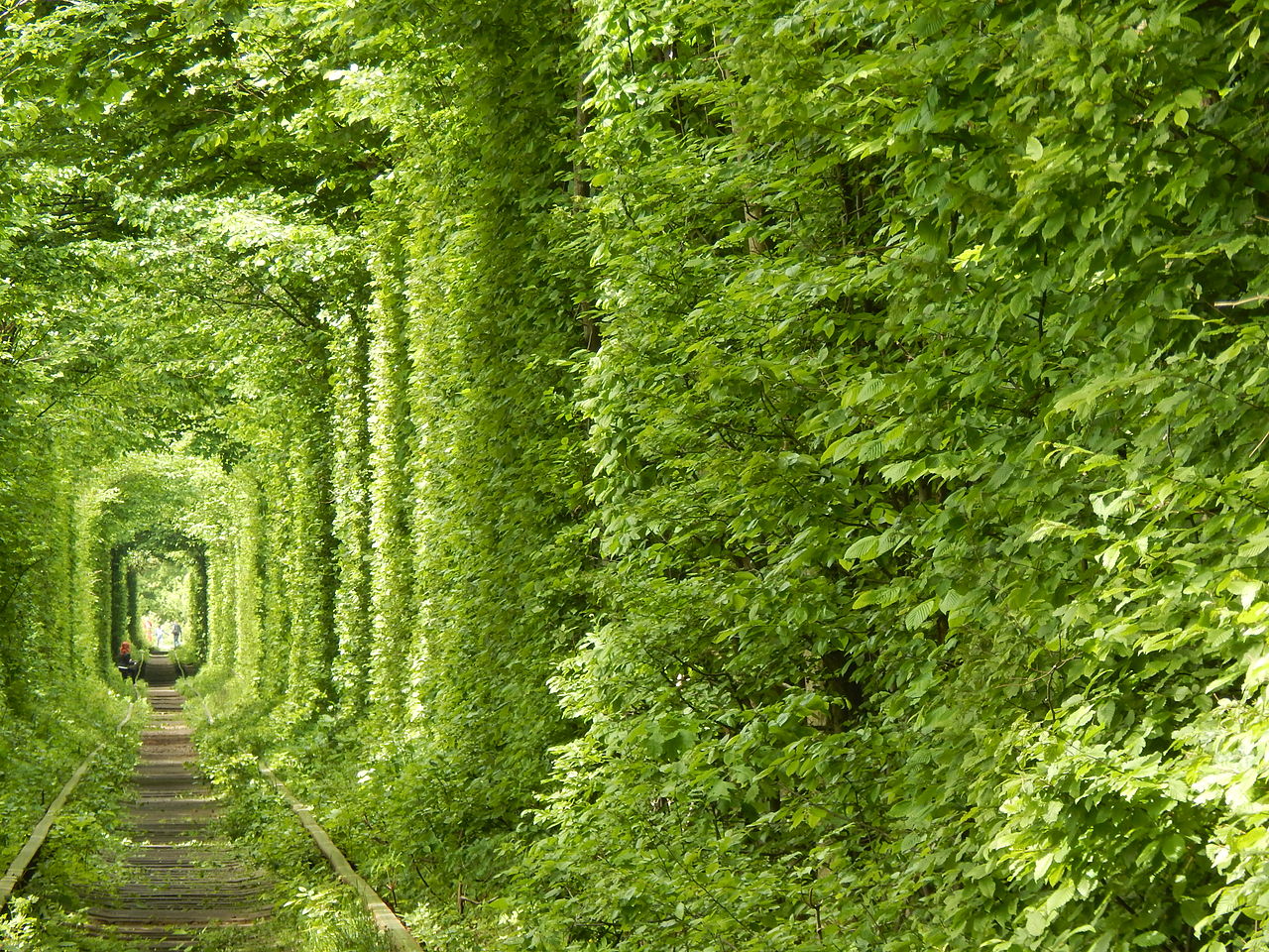 Двоколісні пригоди. Найкращі веломаршрути України для всієї родини