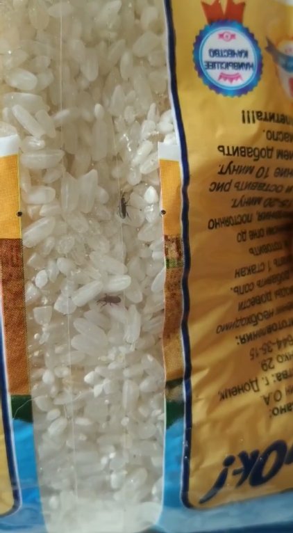 Крупа с жуками и две бутылки воды на месяц: в сети показали продуктовый набор от оккупантов в Мариуполе