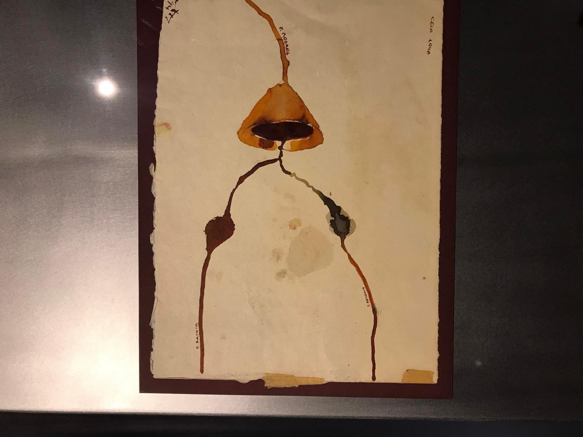 "Ідея Росії - знищити нашу культуру": художник Павло Маков представив Україну на Венеціанській Бієнале