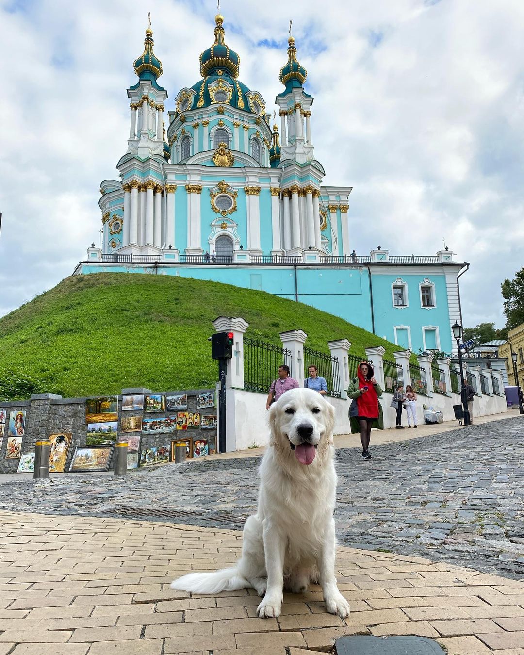 У пса Віктора Циганкова більше підписників, ніж у вас: милі фото Щасливця