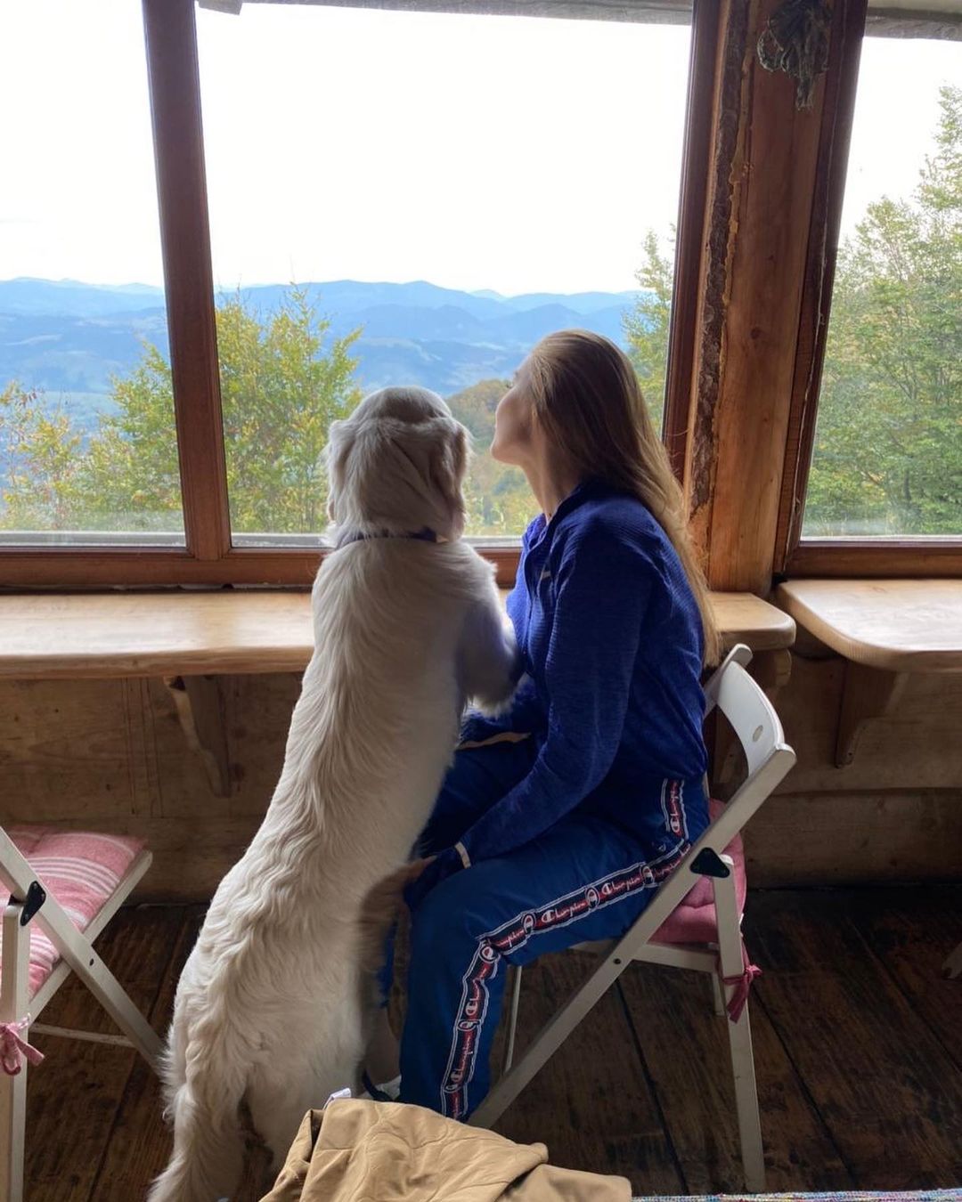 У пса Віктора Циганкова більше підписників, ніж у вас: милі фото Щасливця