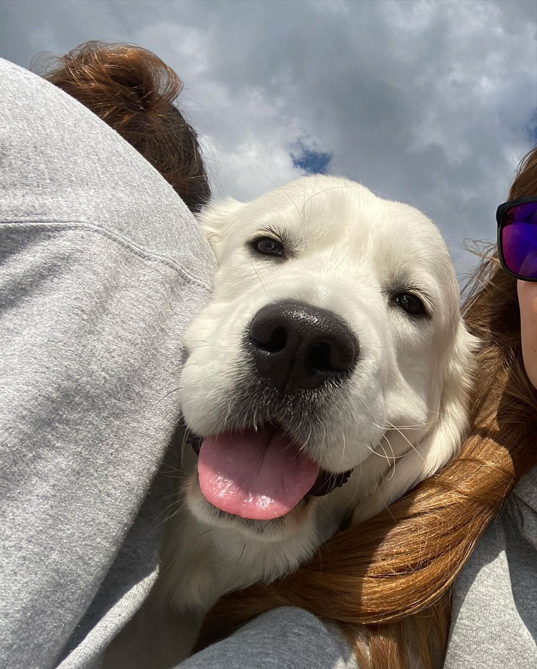 У пса Віктора Циганкова більше підписників, ніж у вас: милі фото Щасливця