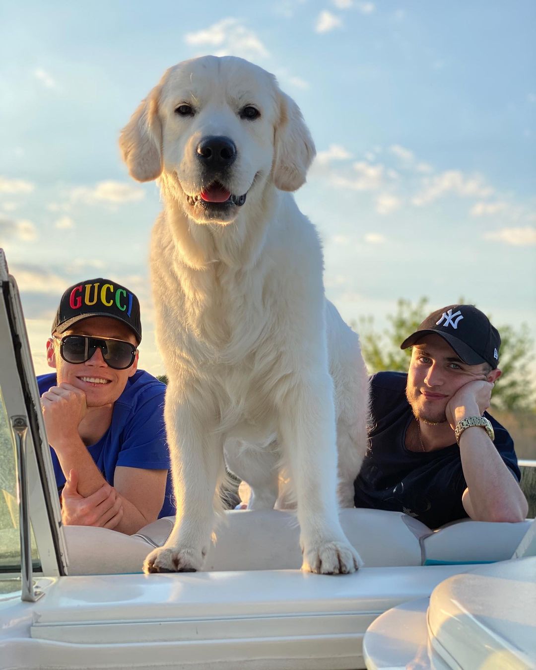 У пса Віктора Циганкова більше підписників, ніж у вас: милі фото Щасливця