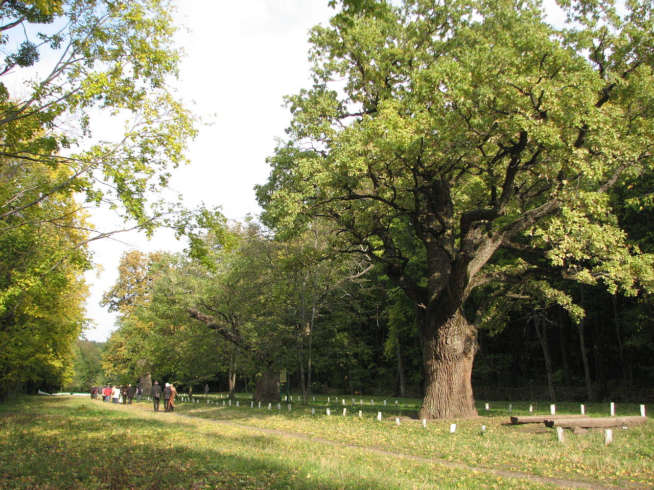 Двоколісні пригоди. Найкращі веломаршрути України для всієї родини