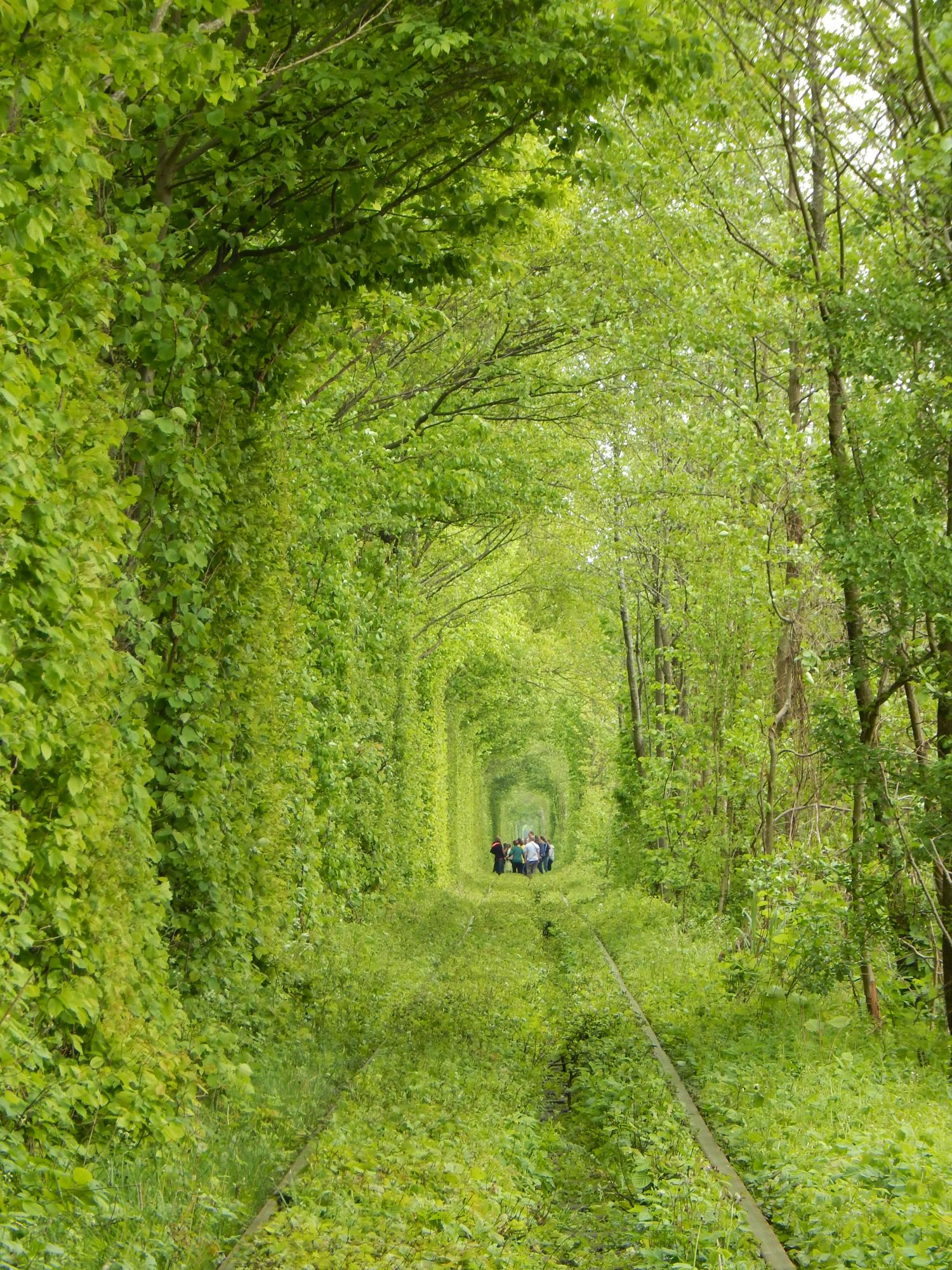 Легенды и красота природы. Почему стоит увидеть Тоннель Любви весной