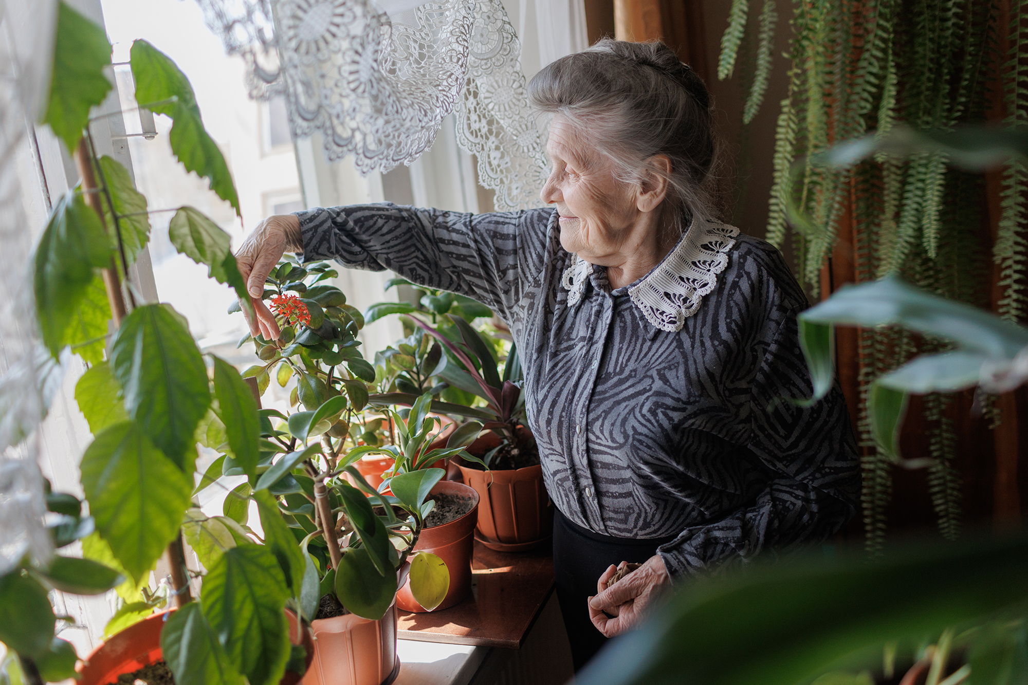 Как пенсионерам пройти идентификацию для возобновления выплат: способы