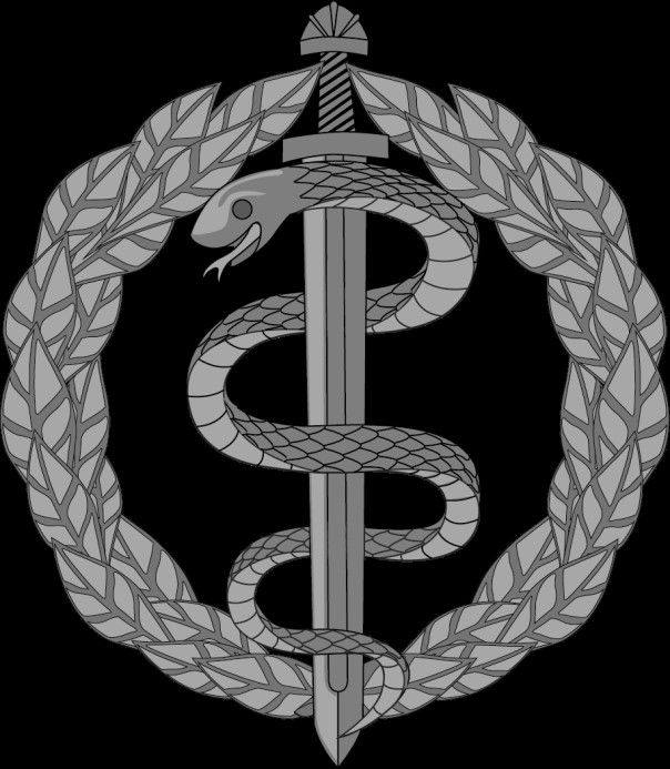 Новая символика. Как выглядят знаки трех отдельных родов войск (фото)