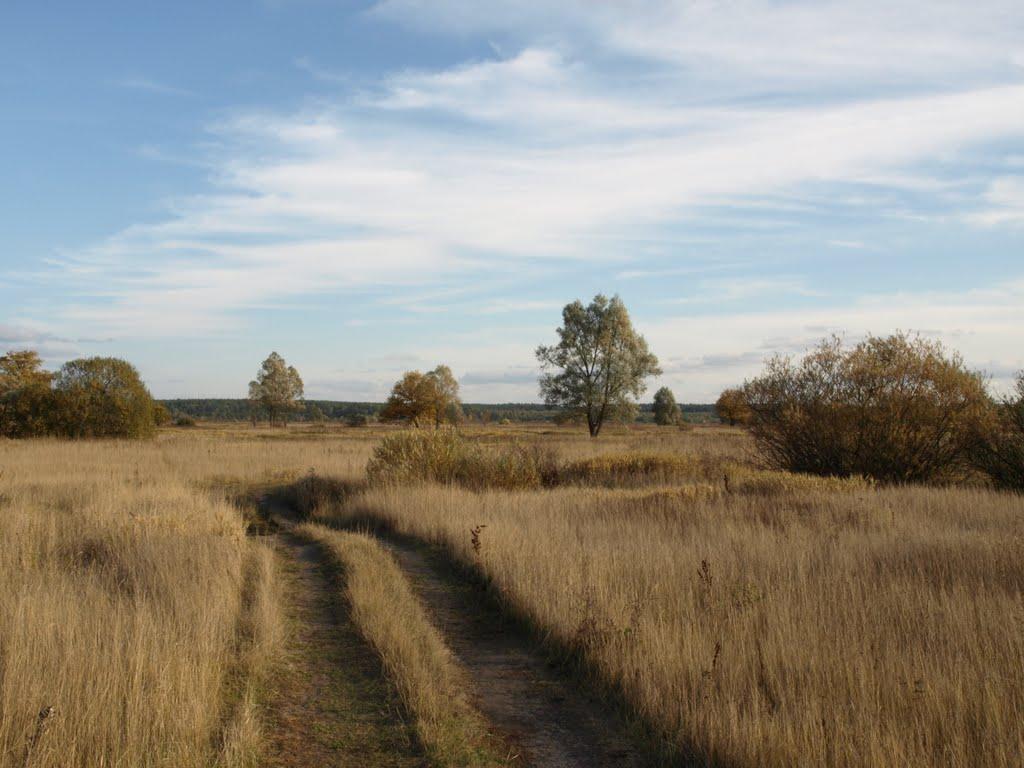 Вистояло в окупації. Маловідоме село на Київщині, яке намагалися захопити сім разів