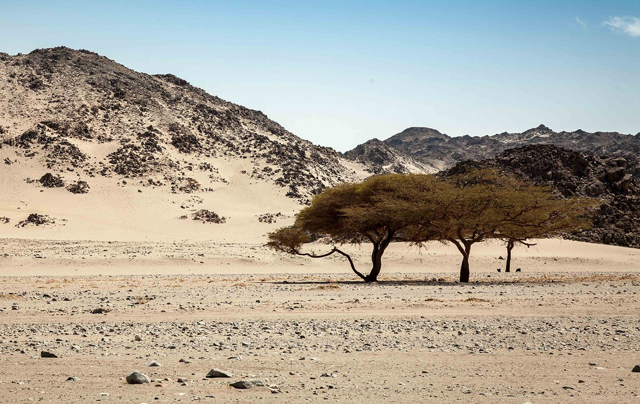 Ненужные земли. Какая территория не принадлежит ни одной стране