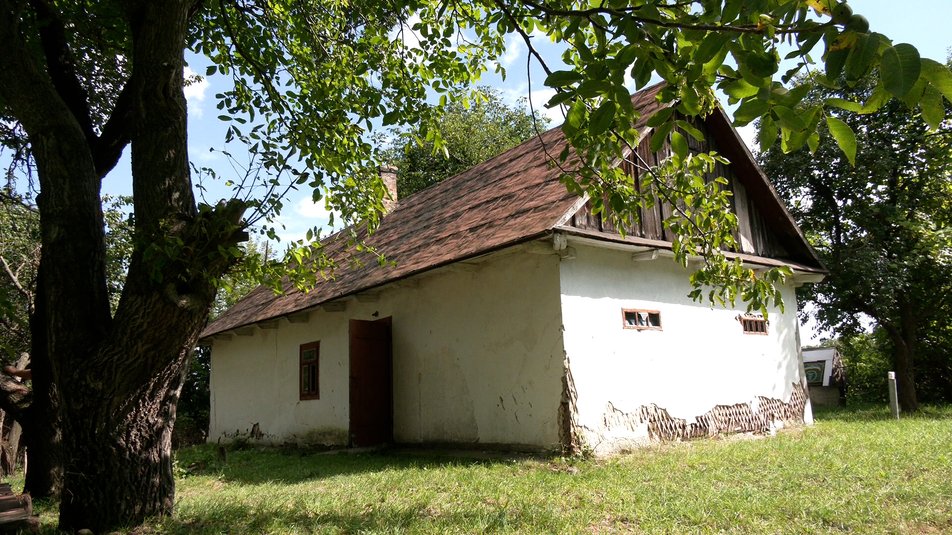 Под Ровно случайно обнаружили оригиналы гравюр члена ОУН Нила Хасевича: как они выглядят