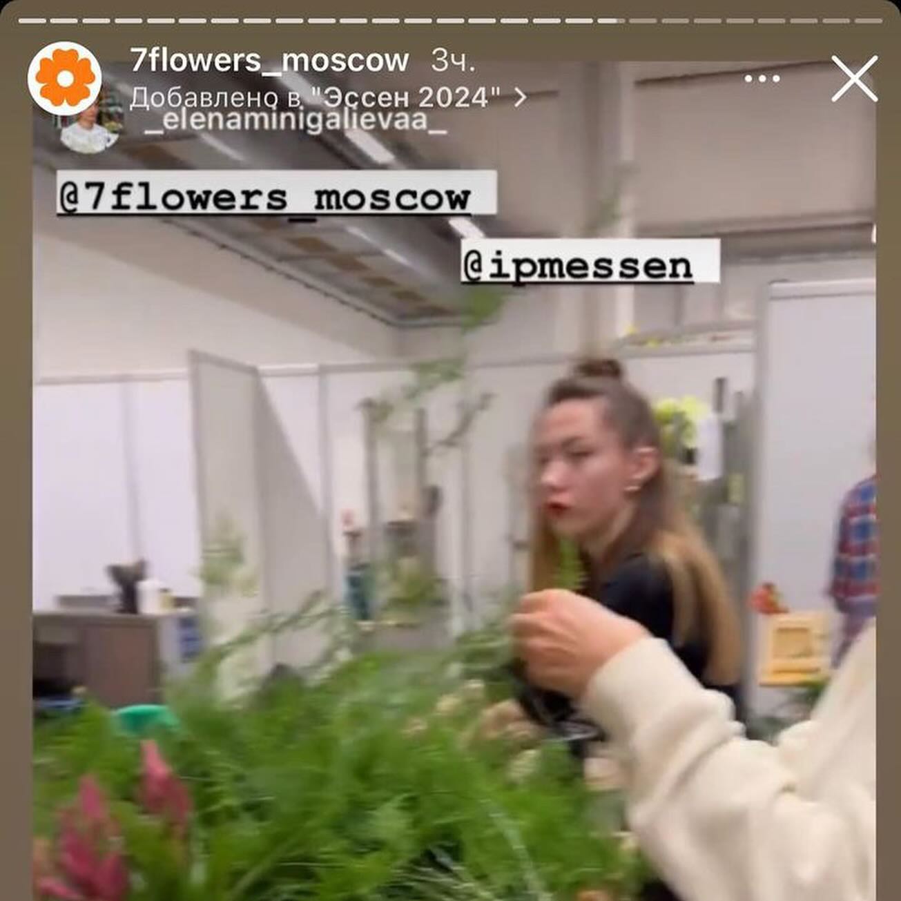 Українських флористів &quot;засікли&quot; з росіянами на виставці в Німеччині. Чи є &quot;зрада&quot;?