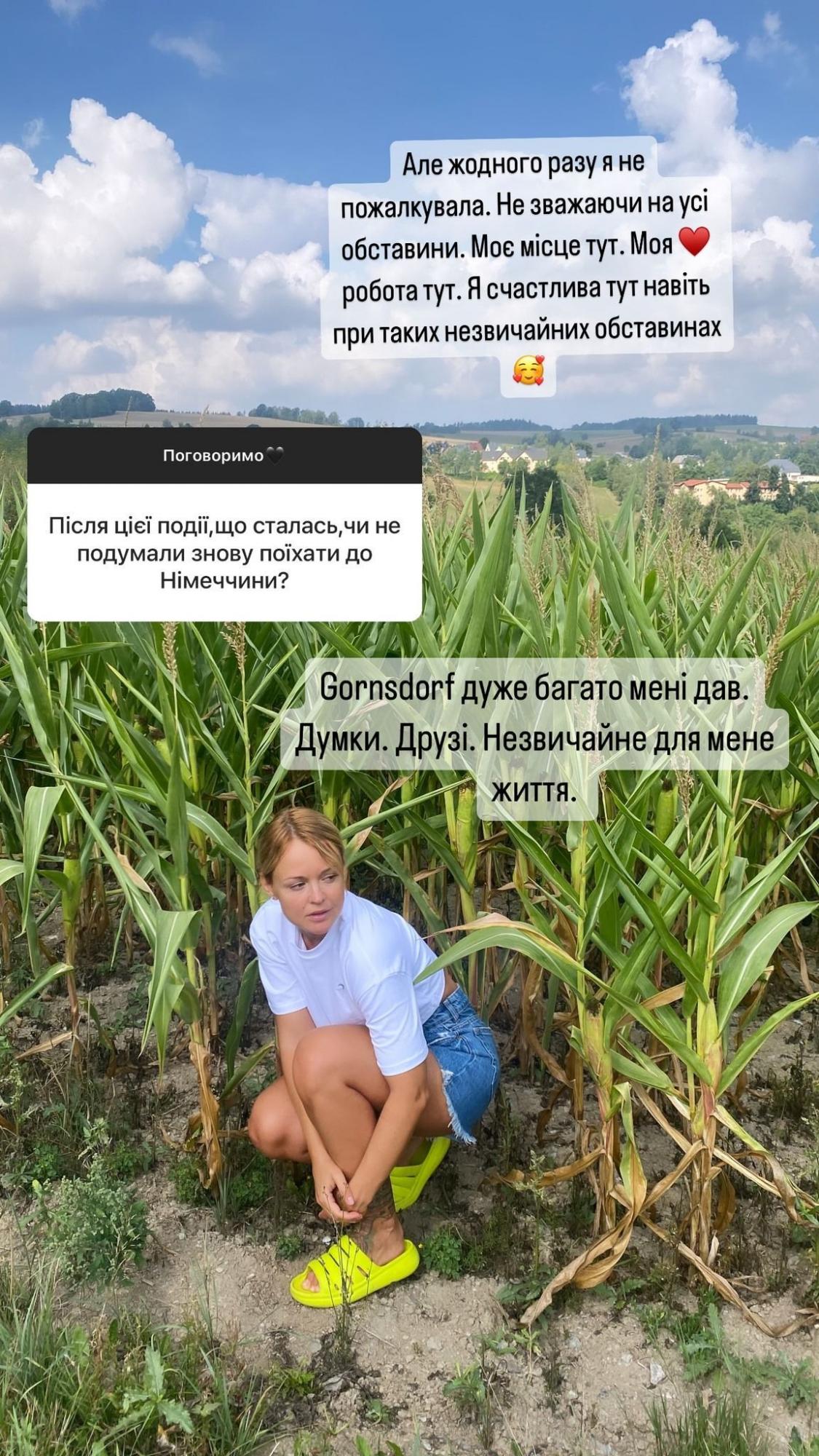 "Пережили и это главное". В дом известной актрисы попали осколки вражеского "шахеда" (фото)