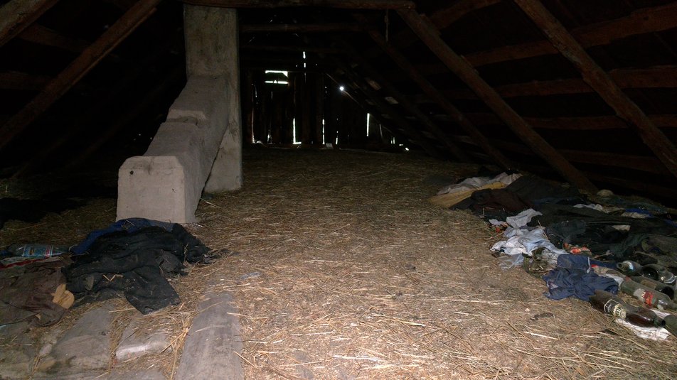 Под Ровно случайно обнаружили оригиналы гравюр члена ОУН Нила Хасевича: как они выглядят