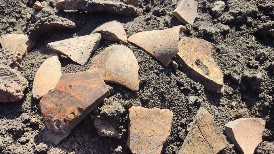 Під Тернополем випадково виявили стародавнє поселення трипільської культури (фото)