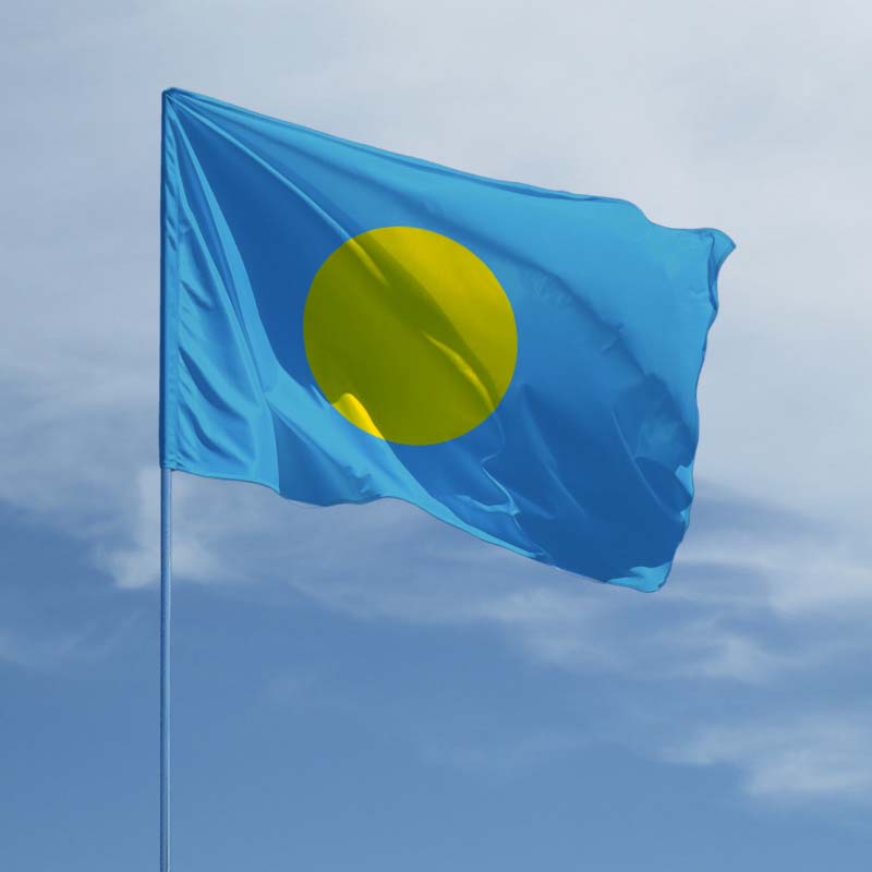 Хто ще, крім нас? Які країни мають синьо-жовті прапори і що вони означають