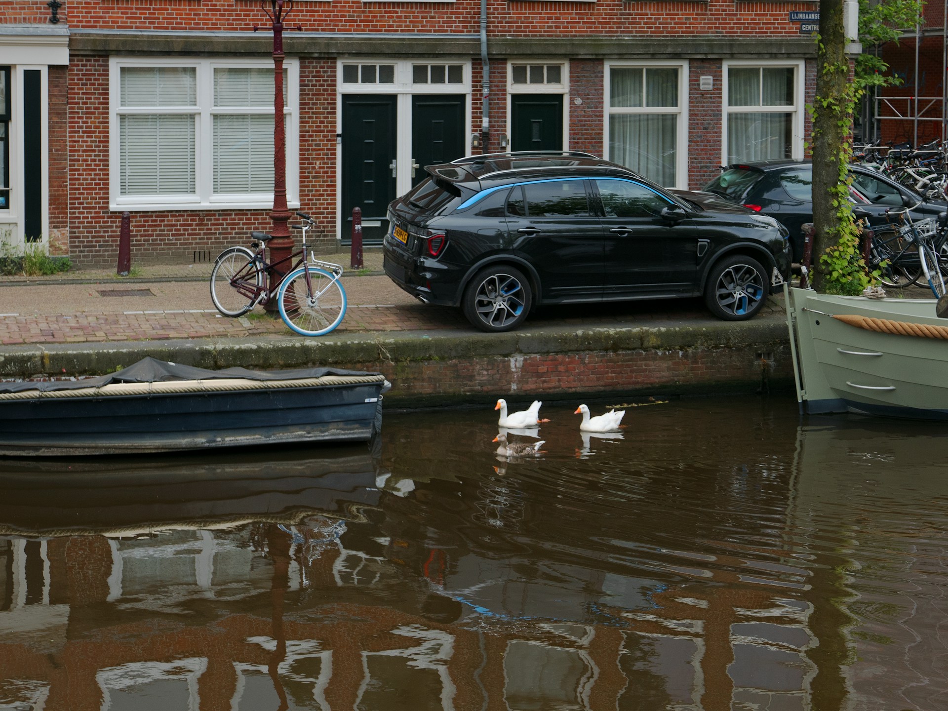 У країні ЄС для українських біженців стане доступна важлива послуга: деталі