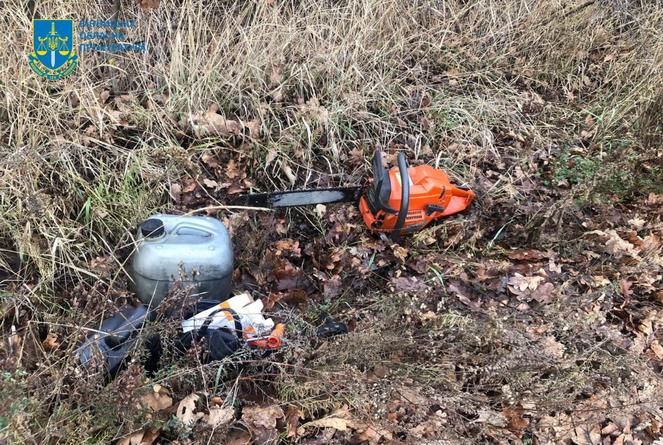 У Вінницькій області суворо покарали "чорних" лісорубів: який вирок суду