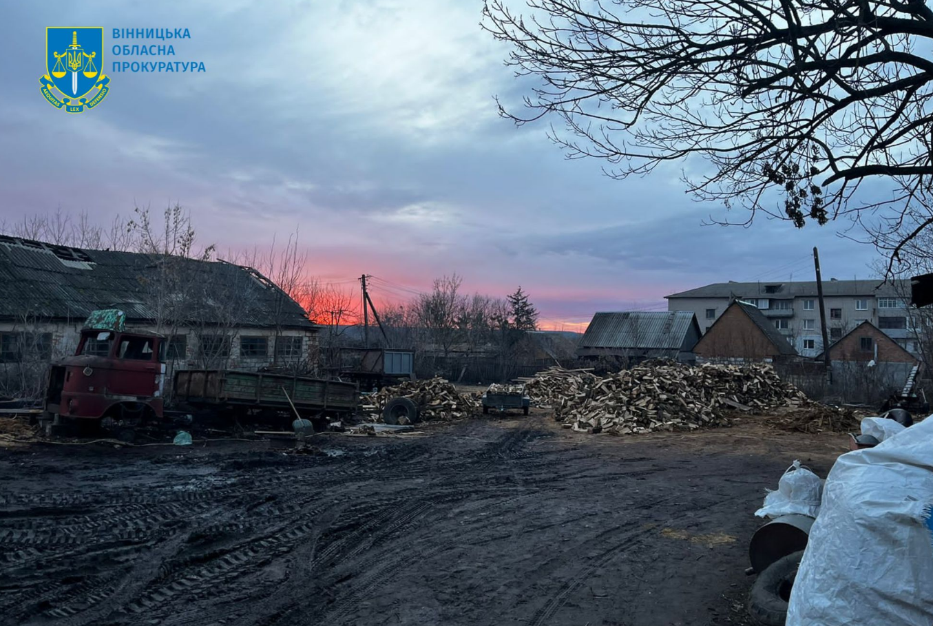 У Вінницькій області суворо покарали "чорних" лісорубів: який вирок суду